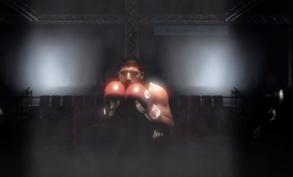 sports virtual reality boxer